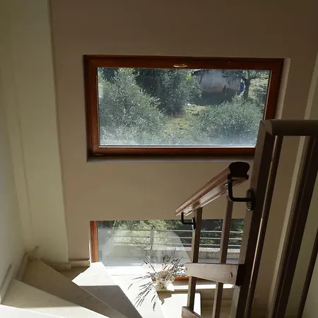 Deili Loft