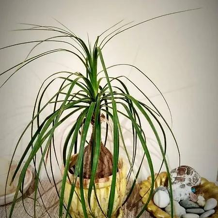 Deili Loft * Kalamata