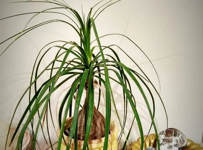 Deili Loft * Kalamáta